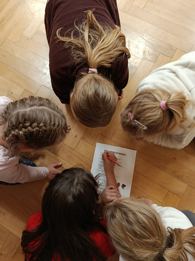 WhatsApp Image 2025-11-06 at 13.28.47.jpeg