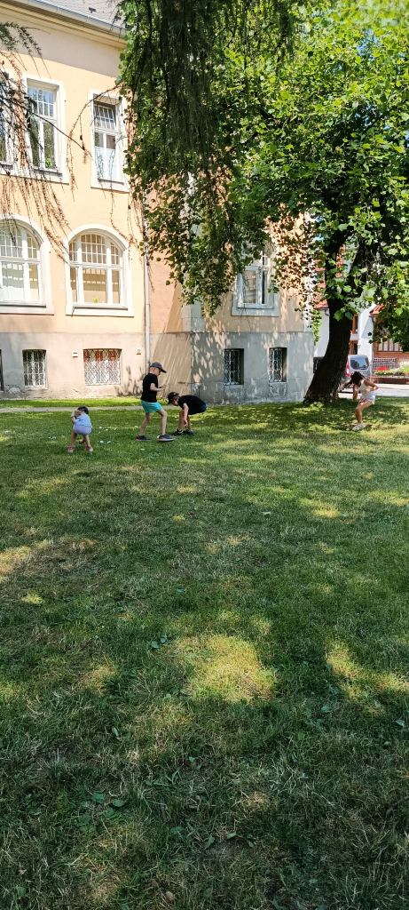 IMG_20260629_111951.jpg