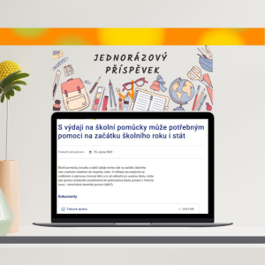 Jednorázový příspěvek